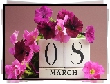 8 Marca, Dzień, Kobiet, Kwiaty, Petunia ogrodowa
