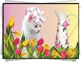 Biały, Kotek, Czapka, Tulipany
