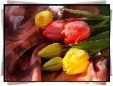 Bukiet, Tulipany, Kolorowe, Żółte, Czerwone