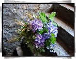 Bukiet, Kwiatów, Hortensje, Schody, Ściana