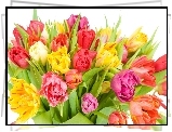 http://www.kwiatki.org/kwiaty-mini/bukiet-wielki-tulipanow.jpeg