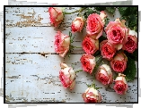 Kwiaty, Róże, Drewno, Deski