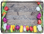 Kwiaty, Tulipany, Kolorowe, Deski