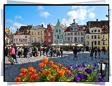 Estonia, Tallin, Rynek, Domy, Ludzie, Kwiaty