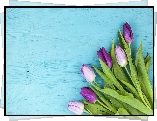Fioletowe, Tulipany, Niebieska, Deska