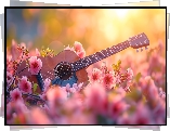 Gitara, Różowe, Kwiaty