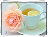Herbata, , Cytryną, W, Filiżance, Róża