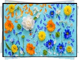 Kolorowe, Płatki, Kwiaty, Niebieskie tło
