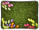 Kolorowe, Tulipany, Sztuczne, Kwiaty, Zielona, Trawa