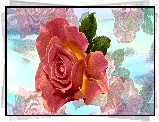 Kwiat, Ra, Efekt graficzny