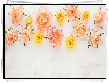 Kwiaty, Róże, Białe, Deski