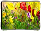Kwiaty, Maki, Tulipany, Trawa, Grafika 2D