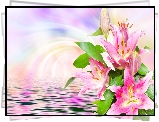 Kwiaty, Lilie, Woda, Grafika 2D