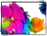 Kolorowe, Kwiaty, 3D
