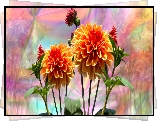 Kwiaty, Dalie, Grafika, Kolorowe tło