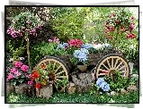 Ogród, Kwiaty, Wózek
