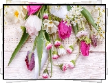 Kwiaty, Tulipany, Stokrotki, Bukiet