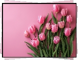 Różowe, Tulipany, Liście, Kwiaty, Różowe tło