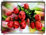 Kwiaty, Czerwone, Tulipany, Grafika
