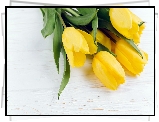 Kwiaty, Żółte, Tulipany, Deski