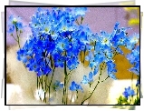 Niebieskie, Drobne, Kwiatki, Ostróżka