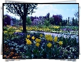Ogród, Kwitnące, Drzewa, Tulipany, Alejka