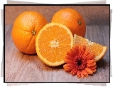 Pomarańcze, Gerbera