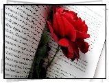 Róża, Książka