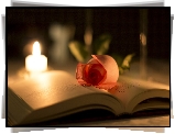Książka, Róża, Świeczka