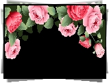 Róże, Kwiaty, Czarne, Tło, Grafika 2D