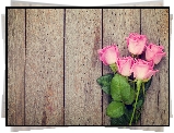 Różowe, Róże, Deski