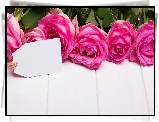 Różowe, Róże, Bilecik, Deski