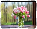 Tulipany, Różowe, Kwiaty, Parapet, Okno