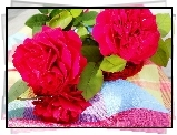 Róże, Serweta, Kompozycja