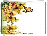 Storczyki, Motyle, Woda, Grafika 2D