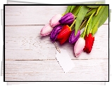 Tulipany, Kolorowe, Zawieszka, Bilecik, Deski