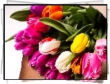 Bukiet, Tulipany, Kolorowe
