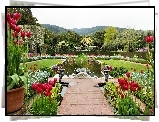 Ogród, Tulipany, Sadzawka