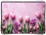 Kwiaty, Biało-różowe, Tulipany, Różowe, Tło