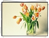Tulipany, Wazon