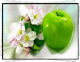Zielone, Jabłko, Kwiaty, Jabłoni, Grafika