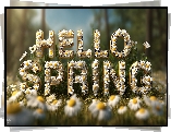 Wiosna, Napis, Hello Spring, Kwiaty, Stokrotki, Grafika AI