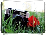 Aparat, Fotograficzny, Róża, Trawa