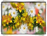Białe, Kwiaty, Żółte, Lilie, Grafika