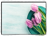 Różowo-białe, Tulipany