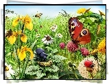 Łąka, Kwiaty, Motyl, Biedronka, Gąsienice
