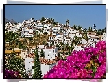 Costa, Del Sol, Nerja, Wille, Palmy, Cyprysy, Kwitnąca, Bugenwilla