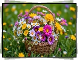 Kolorowe, Polne, Kwiaty, Bukiet, Wiklinowy, Koszyk