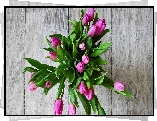 Bukiet, Tulipany