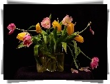 Bukiet, Kwiaty, Tulipany, Wazon